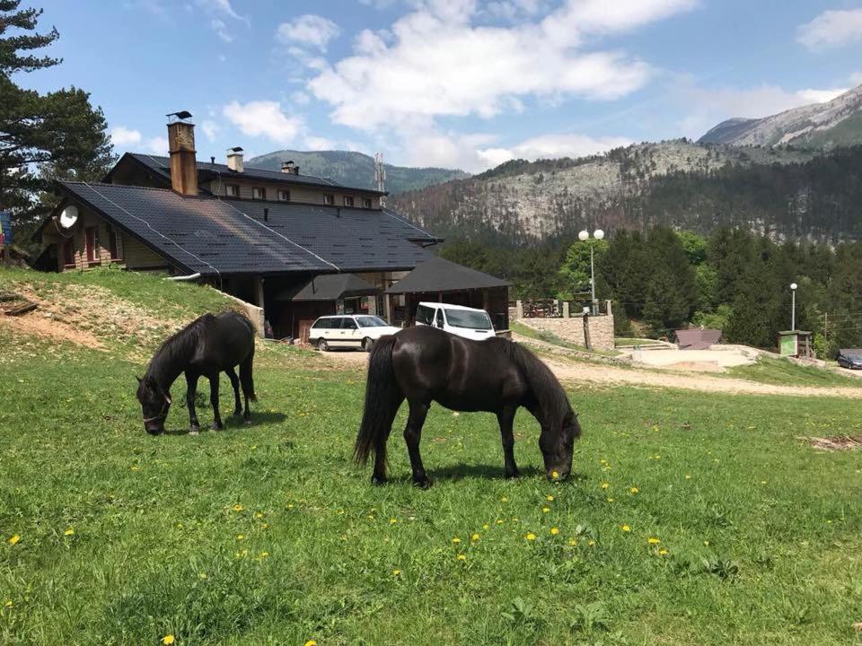 Hotel Snjezna Kuca - Nature Park Of Bosnia Herzegovina Padezina Eksteriør bilde