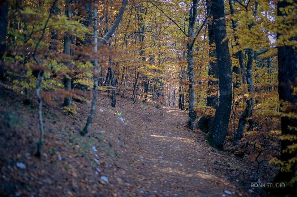 Hotel Snjezna Kuca - Nature Park Of Bosnia Herzegovina Padezina Eksteriør bilde