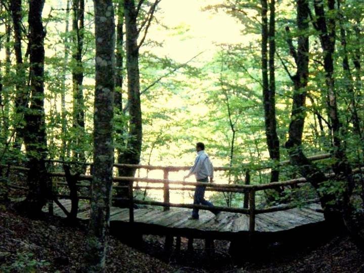 Hotel Snjezna Kuca - Nature Park Of Bosnia Herzegovina Padezina Eksteriør bilde